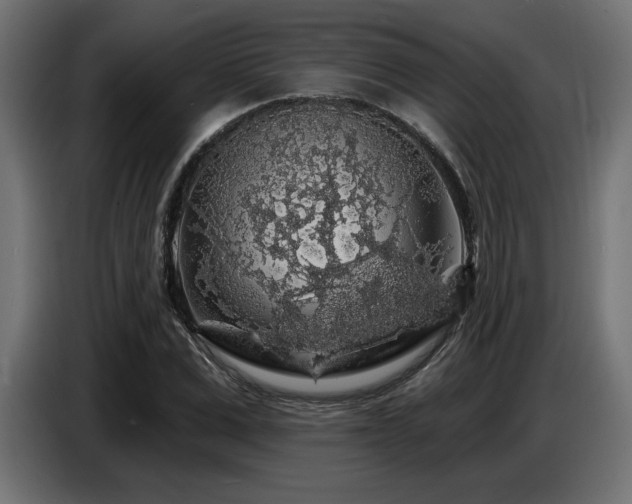 X0000087680975200705041026