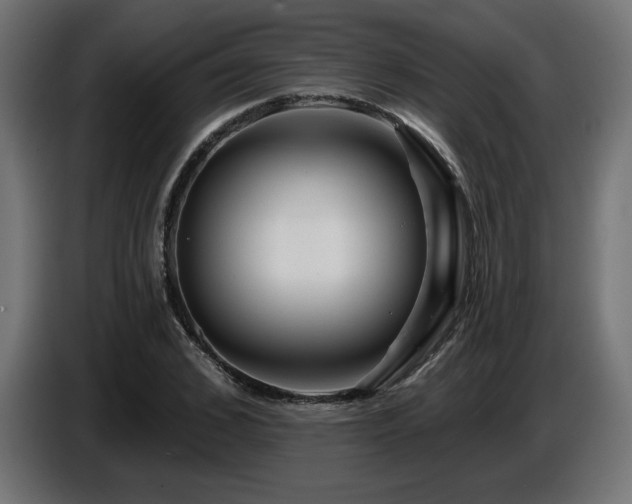 X0000087680976200705041026