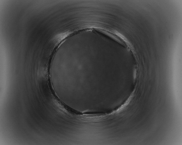 X0000087680977200705041025