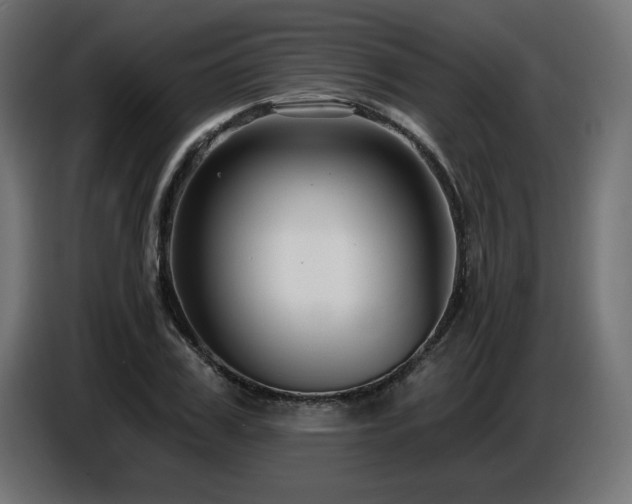X0000087680979200705041025