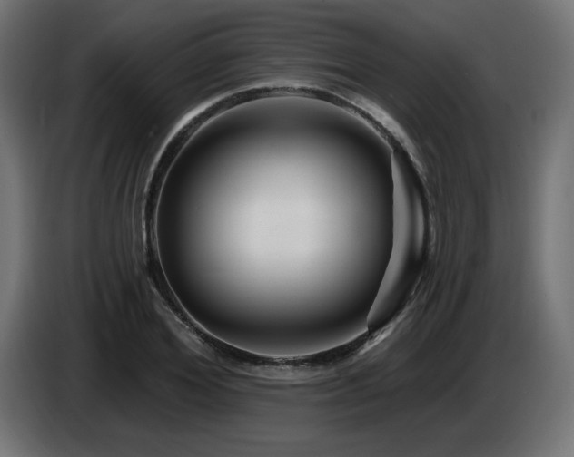 X0000087680980200705041025