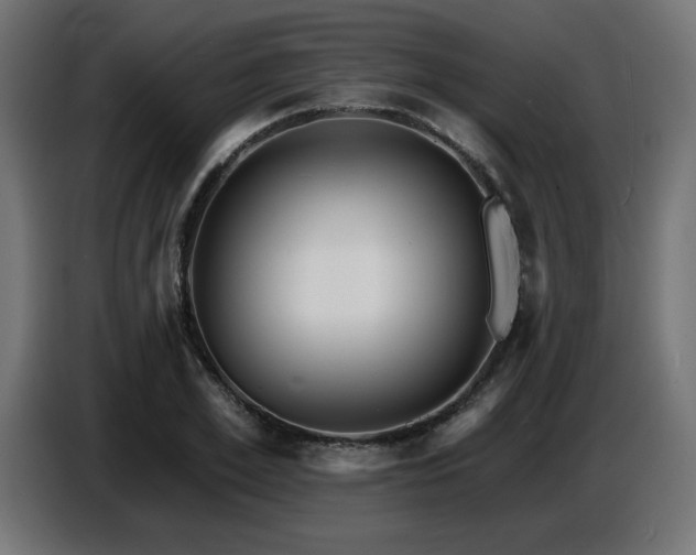 X0000087680981200705041025