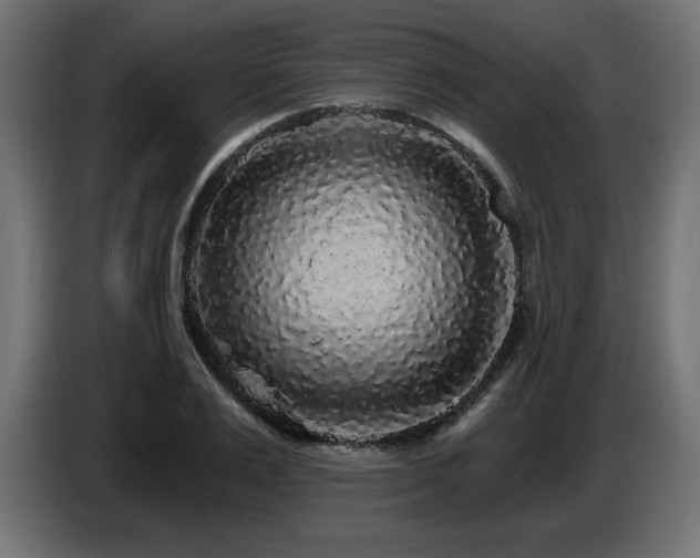 X0000087680983200705041025