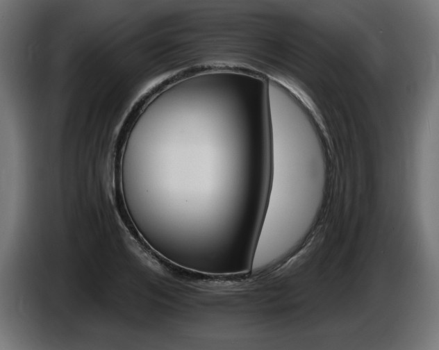 X0000087680984200705041025