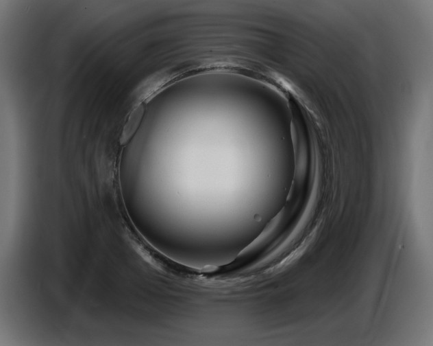 X0000087680985200705041025