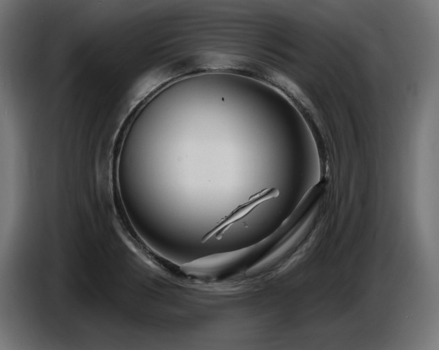 X0000087680986200705041025