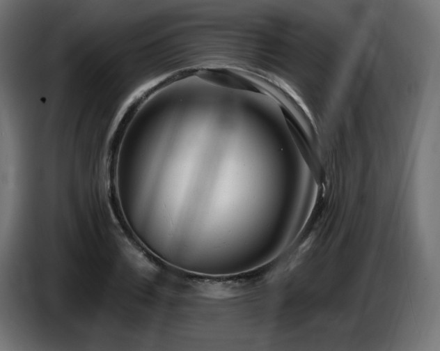X0000087680987200705041025