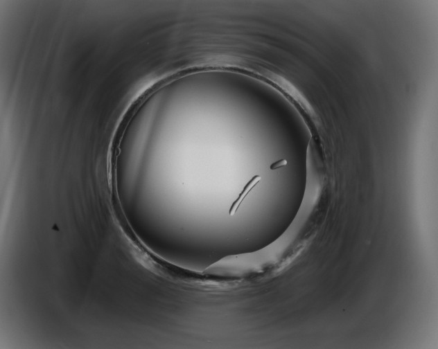 X0000087680988200705041025