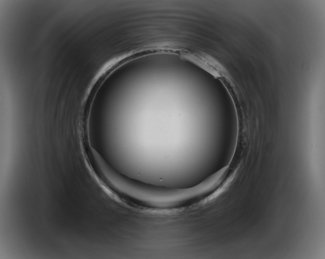X0000087680989200705041025