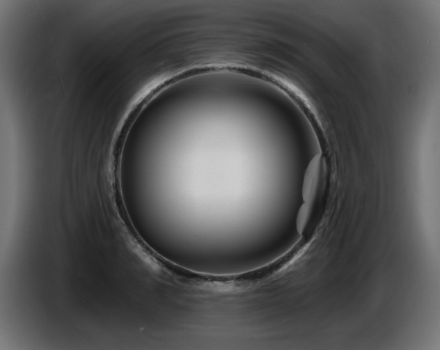 X0000087680990200705041025