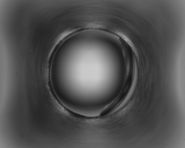 X0000087680992200705041025