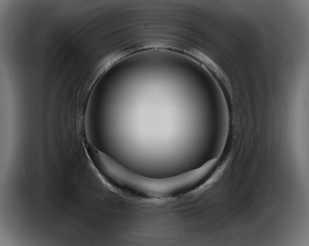 X0000087680993200705041025