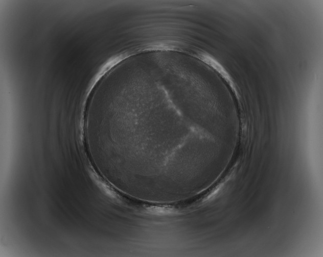 X0000087680994200705041025