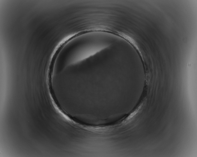 X0000087680995200705041025
