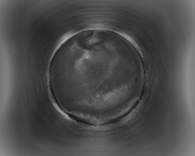 X0000087680998200705041025