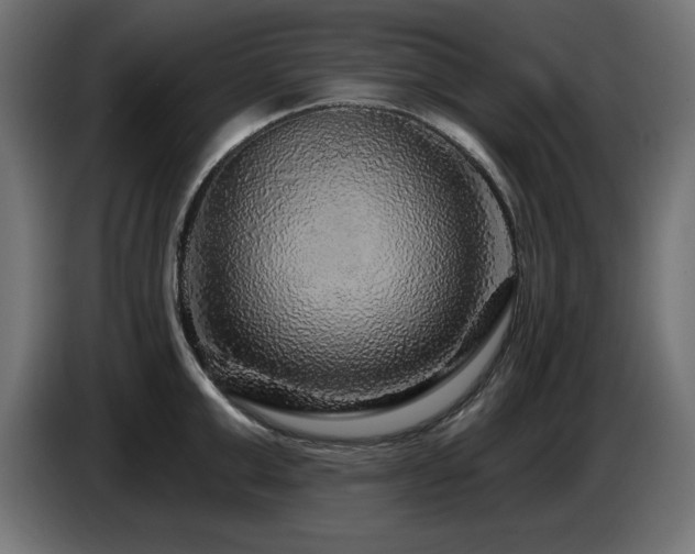 X0000087680999200705041025