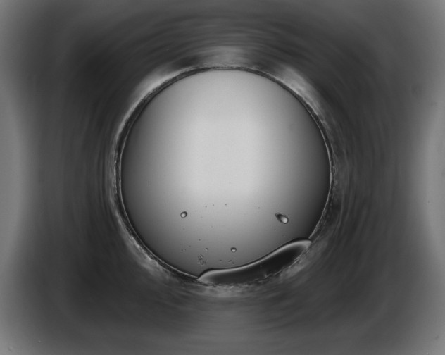 X0000087681000200705041025