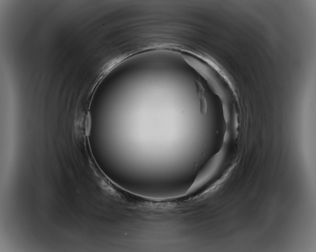 X0000087681001200705041025