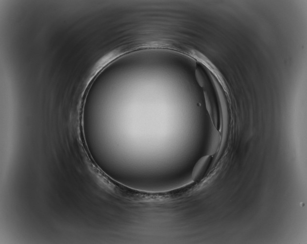 X0000087681002200705041025
