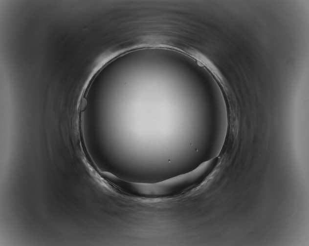X0000087681004200705041025