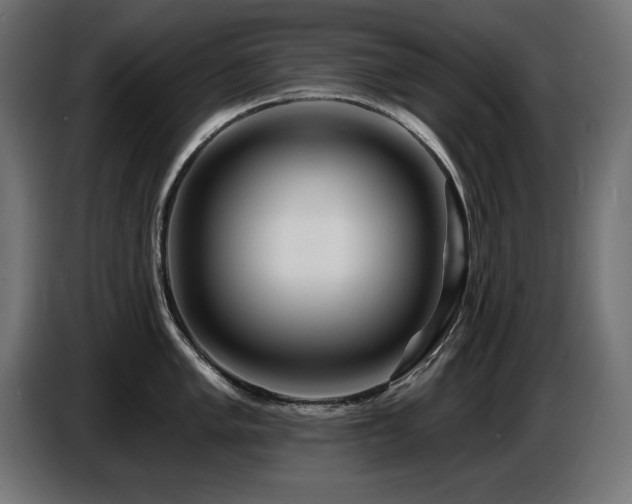 X0000087681005200705041025
