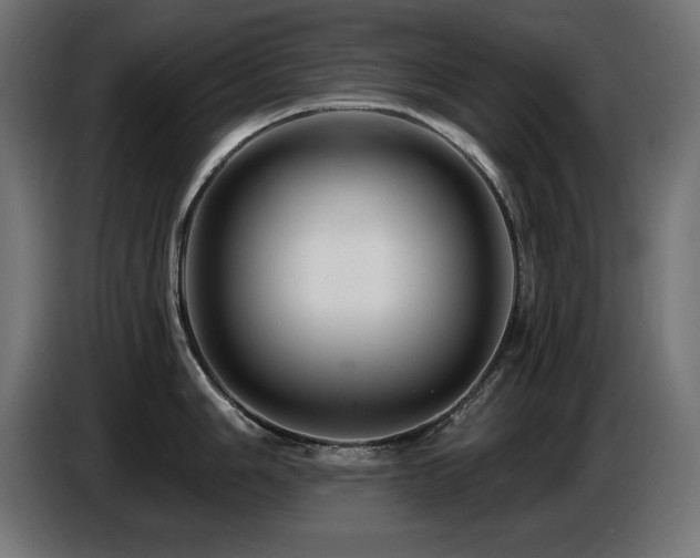 X0000087681006200705041025