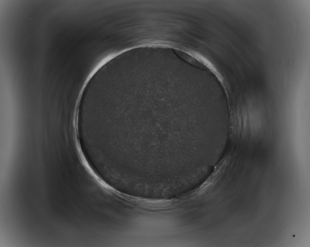 X0000087681007200705041025