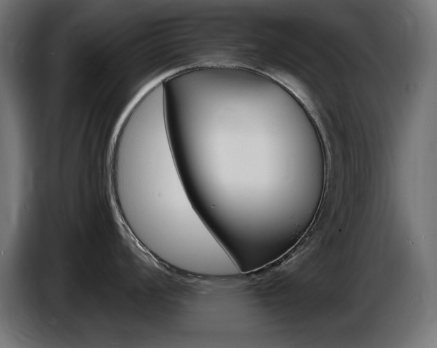 X0000087681008200705041025