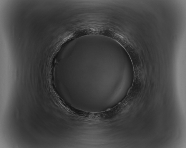 X0000087681009200705041024