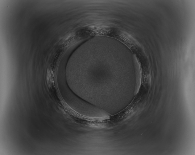 X0000087681010200705041024
