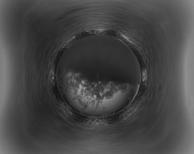 X0000087681011200705041024