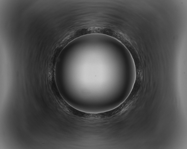X0000087681012200705041024