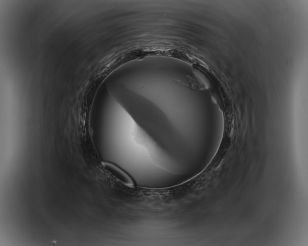 X0000087681013200705041024