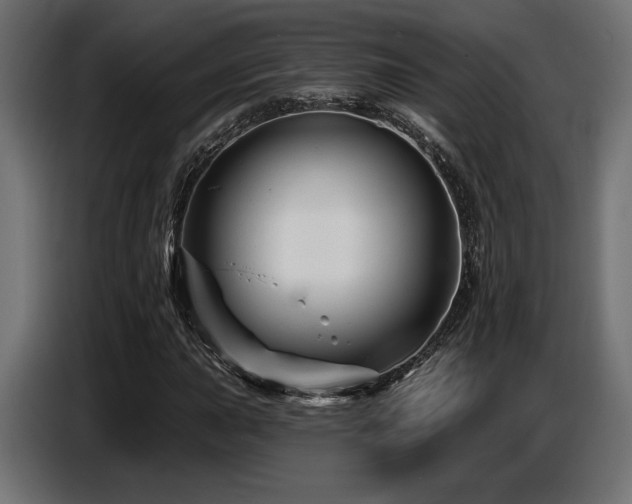 X0000087681015200705041024