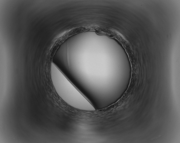 X0000087681016200705041024