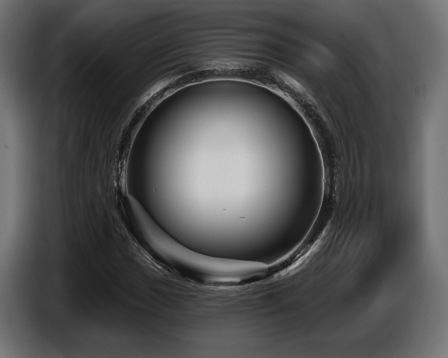 X0000087681017200705041025