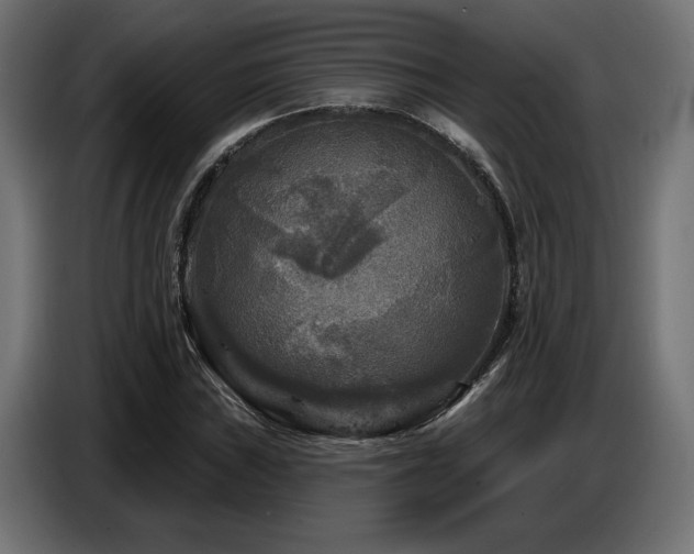 X0000087681019200705041025