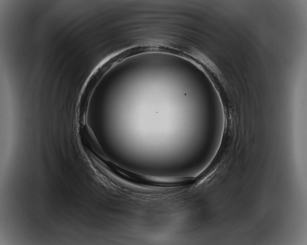 X0000087681020200705041025