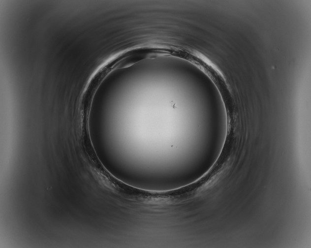 X0000087681021200705041025