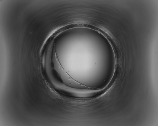 X0000087681022200705041025