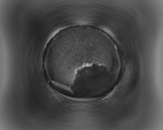 X0000087681023200705041025