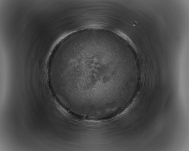 X0000087681027200705041025