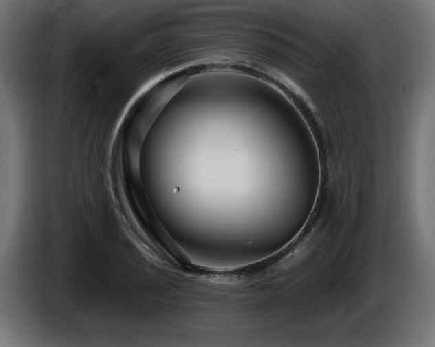 X0000087681029200705041025