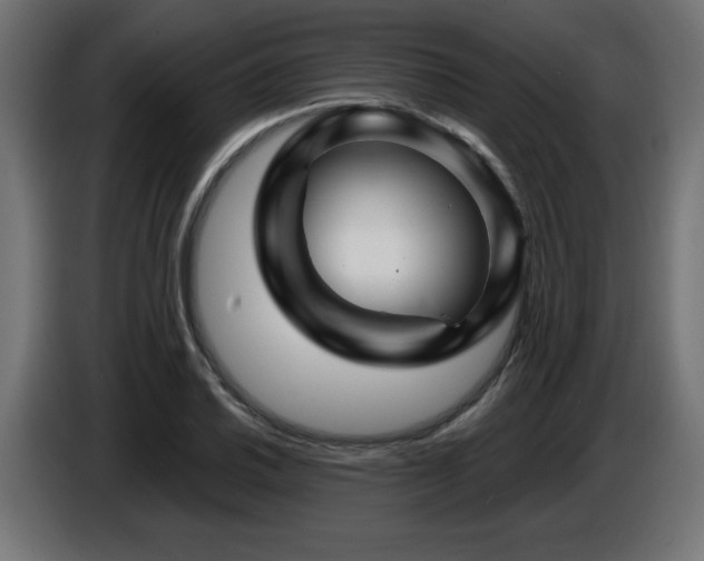 X0000087681030200705041025