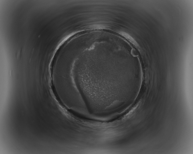 X0000087681031200705041025