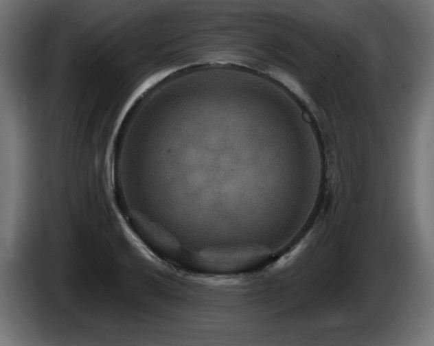X0000087681032200705041025