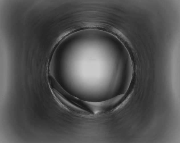 X0000087681033200705041025