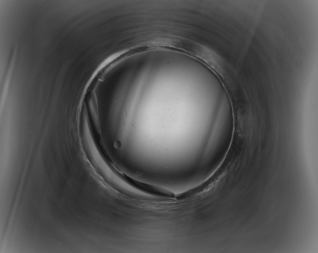 X0000087681036200705041025