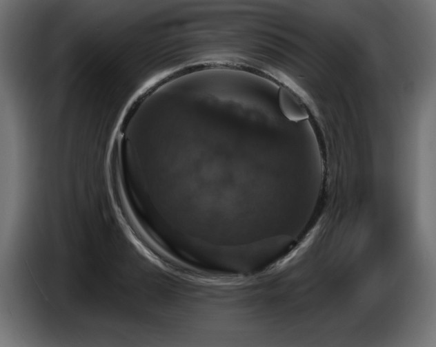 X0000087681037200705041025