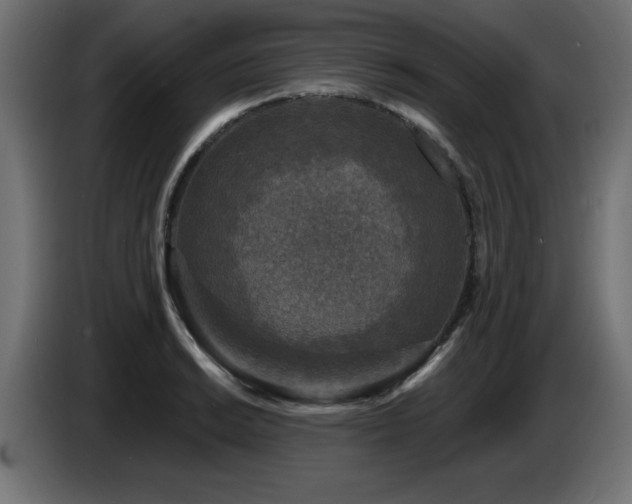 X0000087681038200705041025